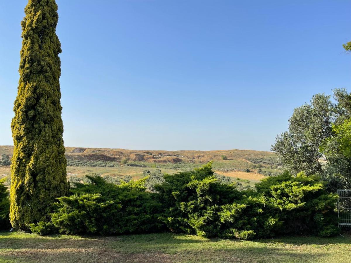 Villa Ba'Gefen Karmei Yosef Luaran gambar