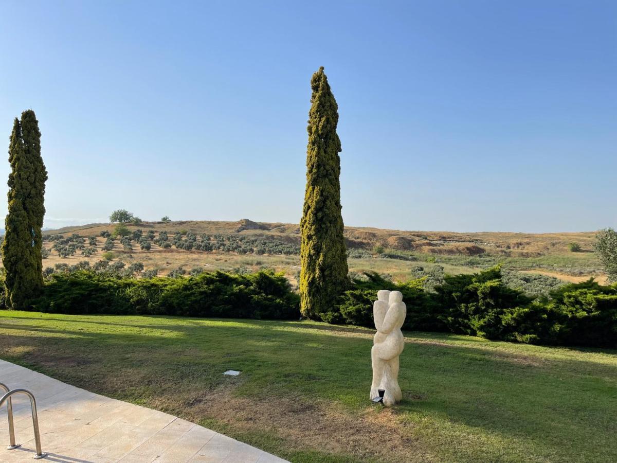 Villa Ba'Gefen Karmei Yosef Luaran gambar