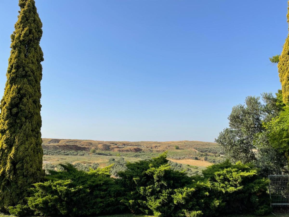 Villa Ba'Gefen Karmei Yosef Luaran gambar
